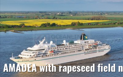 AMADEA with rapeseed field near Glueckstadt Elbe river06.05.2024