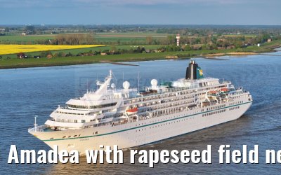Amadea with rapeseed field near Glueckstadt Elbe river