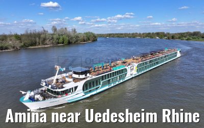 Amina near Uedesheim Rhine river 10.04.2024