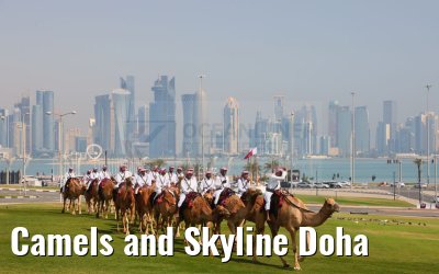Camels and Skyline Doha