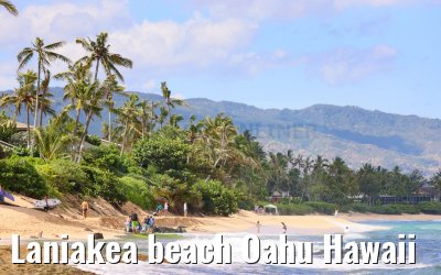 Laniakea beach Oahu Hawaii