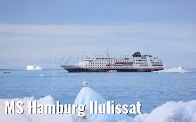 MS Hamburg Ilulissat
