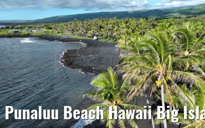 Punaluu Beach Hawaii Big Island