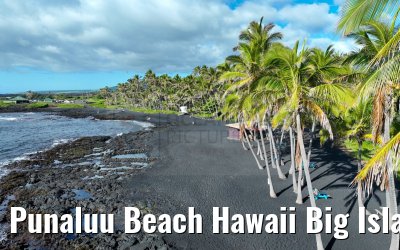 Punaluu Beach Hawaii Big Island