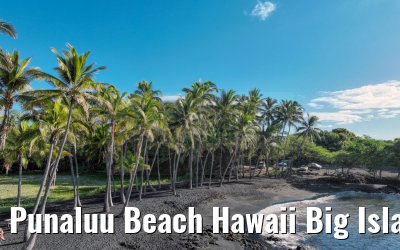 Punaluu Beach Hawaii Big Island