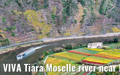 VIVA Tiara Moselle river near Bremm