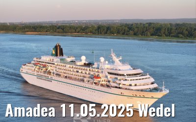 Amadea 11.05.2025 Wedel