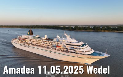 Amadea 11.05.2025 Wedel