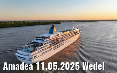 Amadea 11.05.2025 Wedel