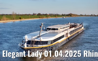 Elegant Lady 01.04.2025 Rhine river near Wesel