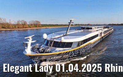 Elegant Lady 01.04.2025 Rhine river near Wesel