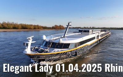 Elegant Lady 01.04.2025 Rhine river near Wesel