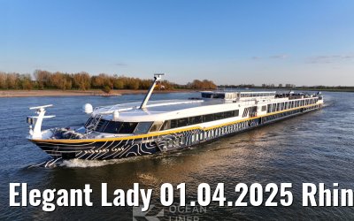Elegant Lady 01.04.2025 Rhine river near Wesel