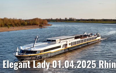 Elegant Lady 01.04.2025 Rhine river near Wesel