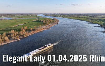 Elegant Lady 01.04.2025 Rhine river near Wesel
