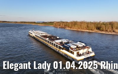 Elegant Lady 01.04.2025 Rhine river near Wesel