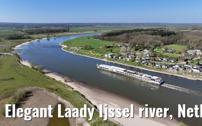 Elegant Laady Ijssel river, Netherlands 04.04.2025