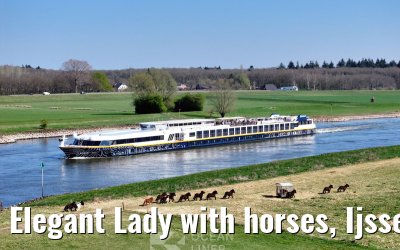 Elegant Lady with horses, Ijssel river 04.04.2025
