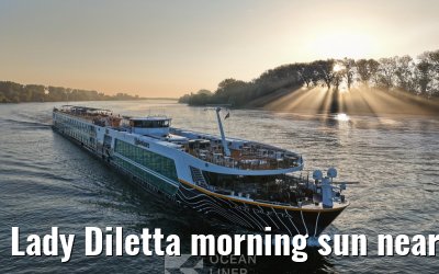 Lady Diletta morning sun near Gernsheim