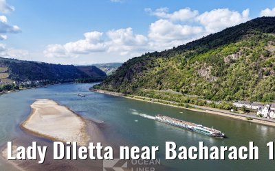 Lady Diletta near Bacharach 18.05.2025