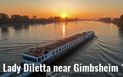 Lady Diletta near Gimbsheim 19.06.2025 sunrise
