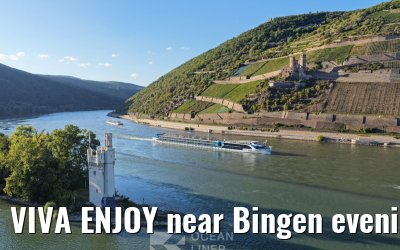 VIVA ENJOY near Bingen evening light 30.08.2025