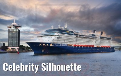 Celebrity Silhouette