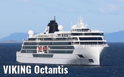 VIKING Octantis