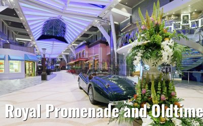 Royal Caribbean Harmony Of The Seas Bilder Details Innenaufnahmen Kabinen Oceanliner Pictures By Oliver Asmussen