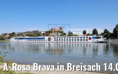 A-Rosa Brava in Breisach 14.08.2017