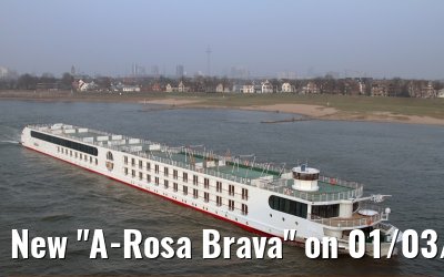 New "A-Rosa Brava" on 01/03/2011 at Rhine-km 738 on the transfer of Warnemuende to Frankfurt - still without the rose painting!