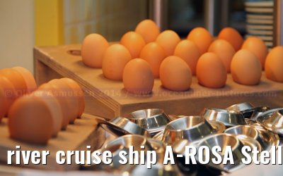 river cruise ship A-ROSA Stella, May 2014