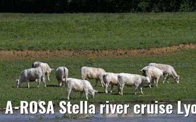 A-ROSA Stella river cruise Lyon, Mâcon, Chalon-sur-Saône, Dijon