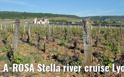 A-ROSA Stella river cruise Lyon, Mâcon, Chalon-sur-Saône, Dijon