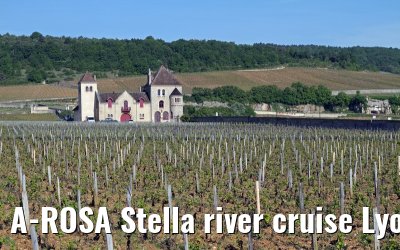 A-ROSA Stella river cruise Lyon, Mâcon, Chalon-sur-Saône, Dijon