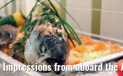 Impressions from aboard the A-ROSA SILVA - July 2012