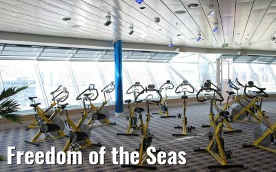 Freedom of the Seas