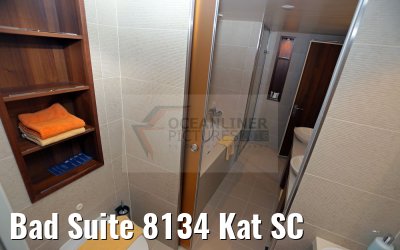 Bad Suite 8134 Kat SC