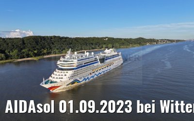 AIDAsol 01.09.2023 bei Wittenbergen