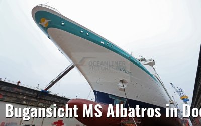 Bugansicht MS Albatros in Dock 10 Blohm und Voss 15.12.2015