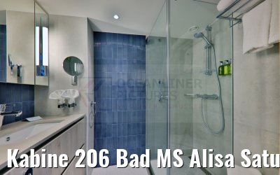 Kabine 206 Bad MS Alisa Saturndeck
