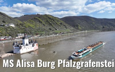 MS Alisa Burg Pfalzgrafenstein 05.04.2023