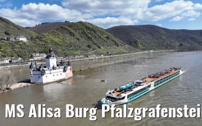 MS Alisa Burg Pfalzgrafenstein 05.04.2023