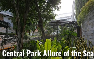 Central Park Allure of the Seas