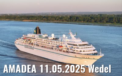 AMADEA 11.05.2025 Wedel