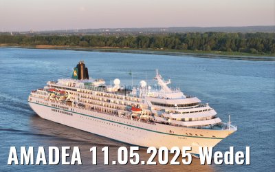 AMADEA 11.05.2025 Wedel