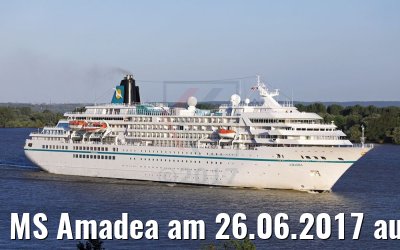 MS Amadea am 26.06.2017 auf der Elbe