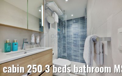 cabin 250 3 beds bathroom MS Amina