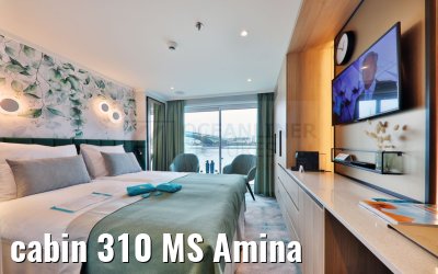 cabin 310 MS Amina