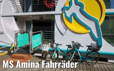 MS Amina Fahrräder 